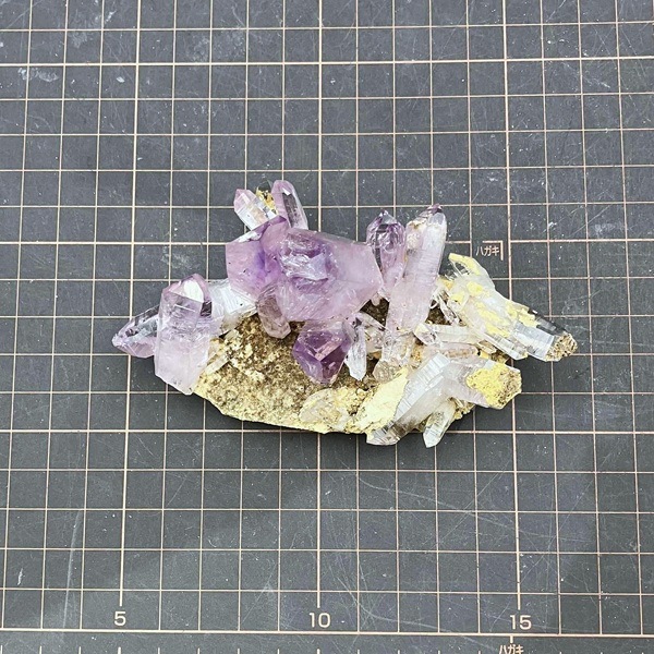 ʡۥ٥饯륹᥸ȡС饹144gᥭŹƱ