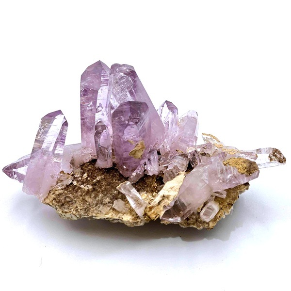 ʡۥ٥饯륹᥸ȡС饹144gᥭŹƱ