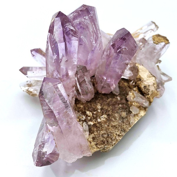 ʡۥ٥饯륹᥸ȡС饹144gᥭŹƱ