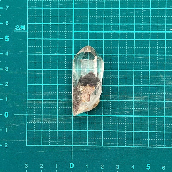 åɥեȥ९ġХݥ(ߥդ)4.3cmɻ