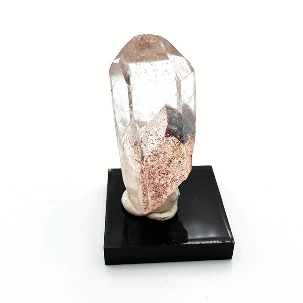 åɥեȥ९ġХݥ(ߥդ)4.3cmɻ