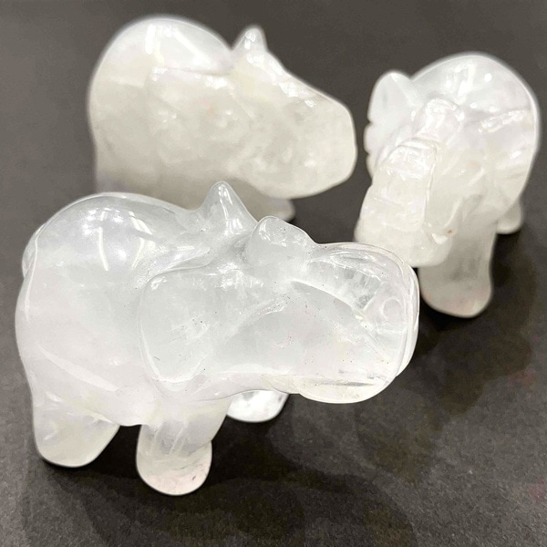 ���ɲá��ۿ徽�ξݤ��󡡤��襤��ŷ����Ħ������ӥ󥰡�1�����