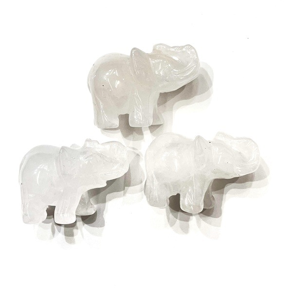 ���ɲá��ۿ徽�ξݤ��󡡤��襤��ŷ����Ħ������ӥ󥰡�1�����