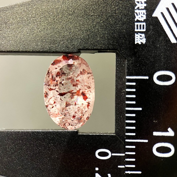 ��ԥɥ��������ȥ��󥯥����ġ���12.3mm�����åȥ롼����1��ʪ