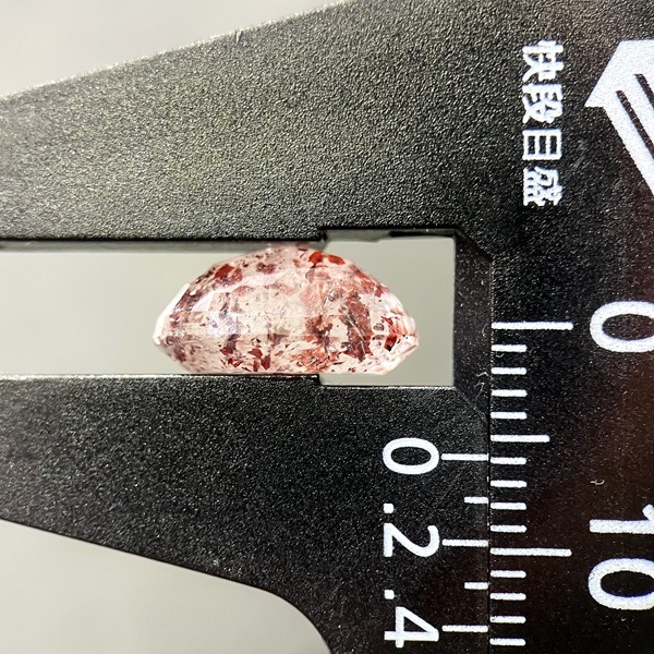 ��ԥɥ��������ȥ��󥯥����ġ���12.3mm�����åȥ롼����1��ʪ