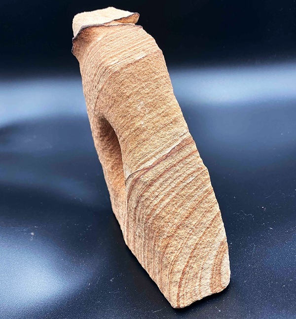 �ԥ����㡼����ɥ��ȡ����᤭����12.0cm