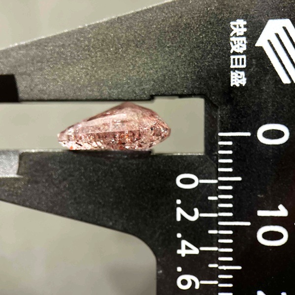 ��ԥɥ��������ȥ��󥯥����ġ���12.8mm�����åȥ롼����1��ʪ