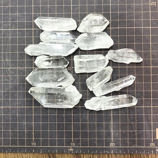 ��������9.2kg����Ȣ��ꡡ�֥饸�뻺���徽�ݥ���ȸ��С�ŹƬƱ��������