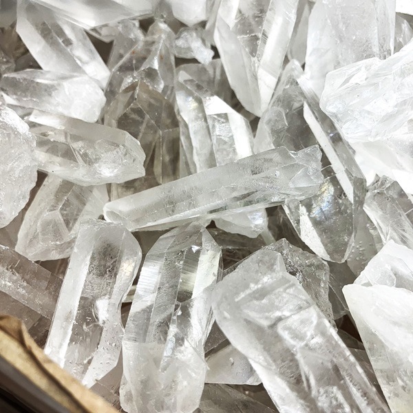 ��������9.2kg����Ȣ��ꡡ�֥饸�뻺���徽�ݥ���ȸ��С�ŹƬƱ��������