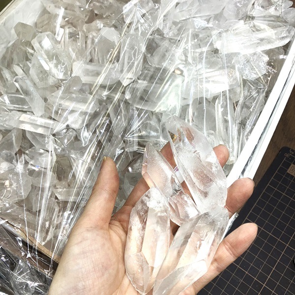 ��������9.2kg����Ȣ��ꡡ�֥饸�뻺���徽�ݥ���ȸ��С�ŹƬƱ��������