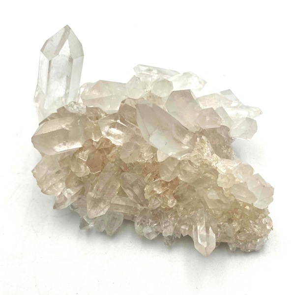 �ޥ˥���󻺿徽���饹��������122�硡