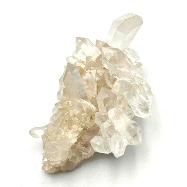 �ޥ˥���󻺿徽���饹��������122�硡