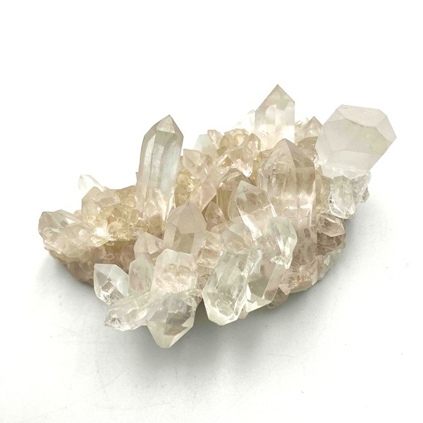 �ޥ˥���󻺿徽���饹��������122�硡