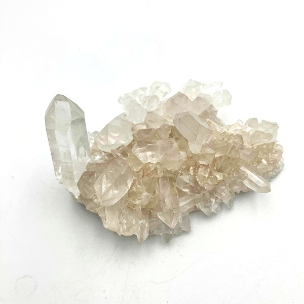 �ޥ˥���󻺿徽���饹��������122�硡