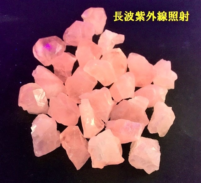 ����͵��ʤΤǺ��ɲá��۶��ָ��ԥ󥯥��륵���ȸ��С�1�����