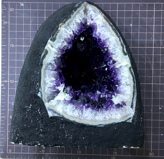 ���᥸���ȥɡ��ࡡ���륰����������2.95��g��