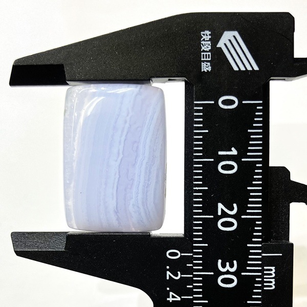 �֥롼�졼���������ȡ�26mm���ܥ����롼������32ct��1��ʪ
