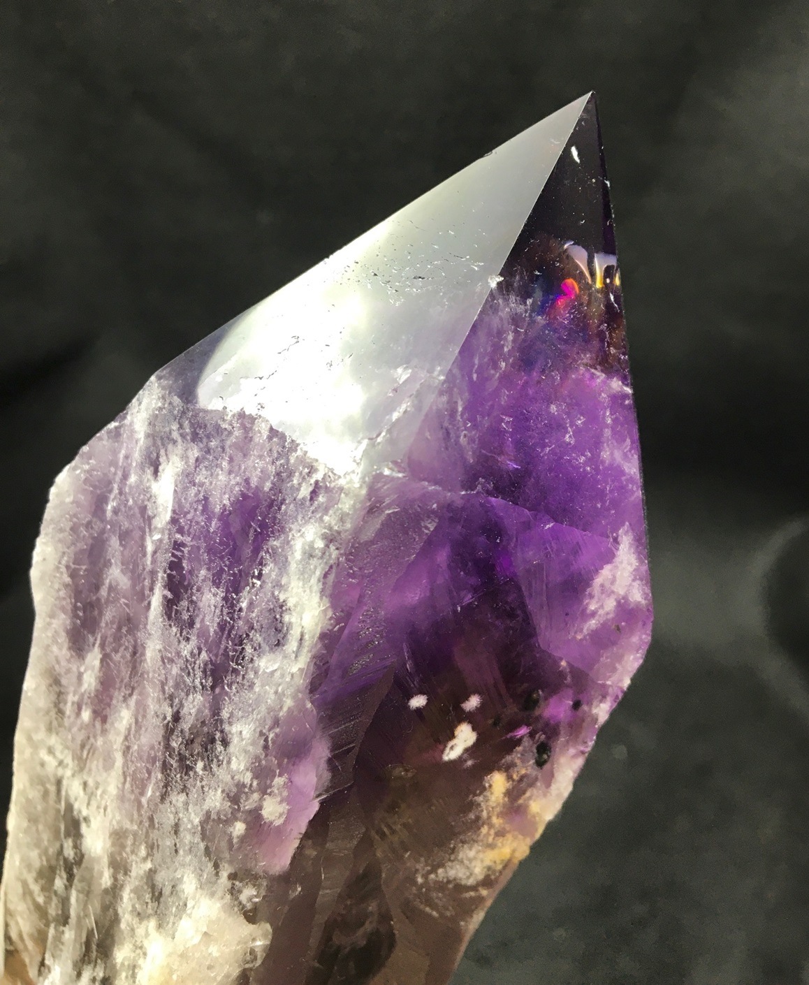 �ɥ饴��ȥ��������᥸���ȡ��֥饸�뻺��713g