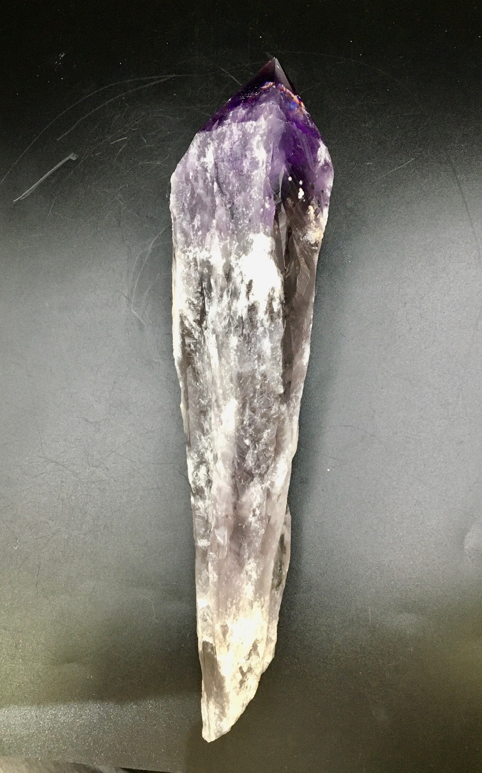 �ɥ饴��ȥ��������᥸���ȡ��֥饸�뻺��713g