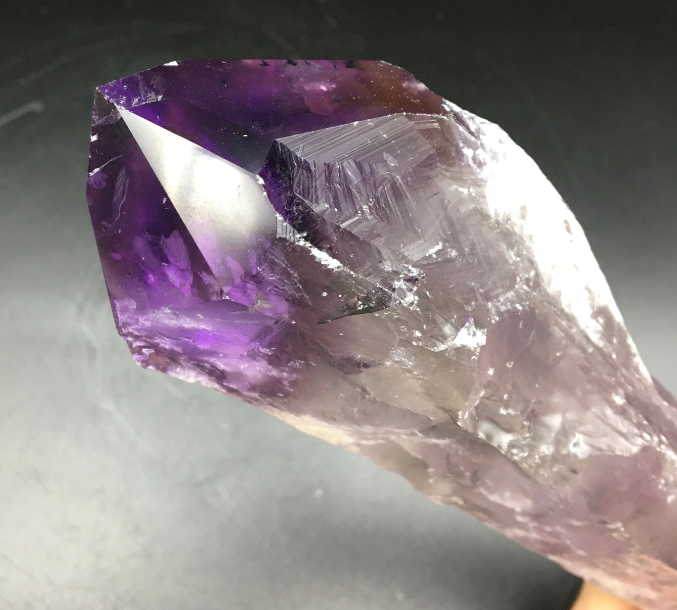 �ɥ饴��ȥ��������᥸���ȡ��֥饸�뻺��460g��