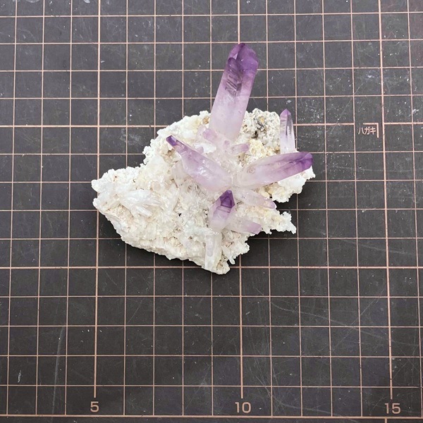 �����ʡۥ٥饯�륹���᥸���ȡ����С����饹��������53g���ᥭ��������Ź��Ʊ��������