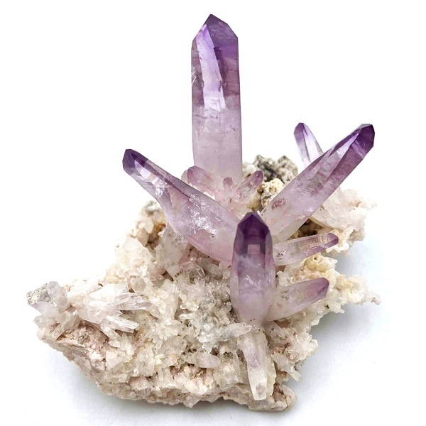 �����ʡۥ٥饯�륹���᥸���ȡ����С����饹��������53g���ᥭ��������Ź��Ʊ��������