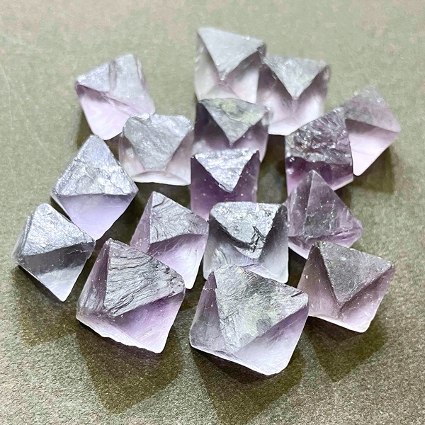 ڤ硪ۥڡѡץե饤ȸС8Ρ1