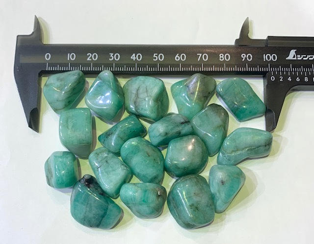 �ڻĤ�鷺�����ۥ�����ɡ���եꥫ�����᤭�С�1γ���