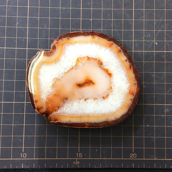 ͥꥢ󡡥饤1.5