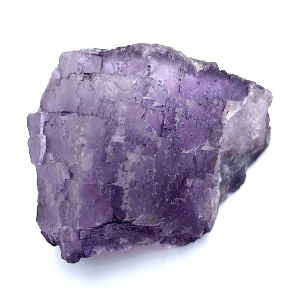 ᥭѡץե饤ȸС140g1ʪ