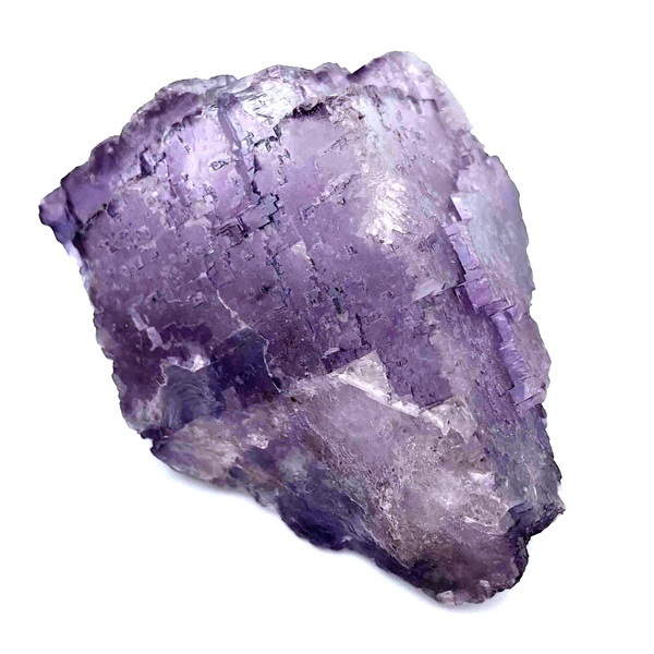 ᥭѡץե饤ȸС140g1ʪ