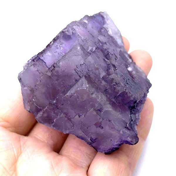 ᥭѡץե饤ȸС140g1ʪ