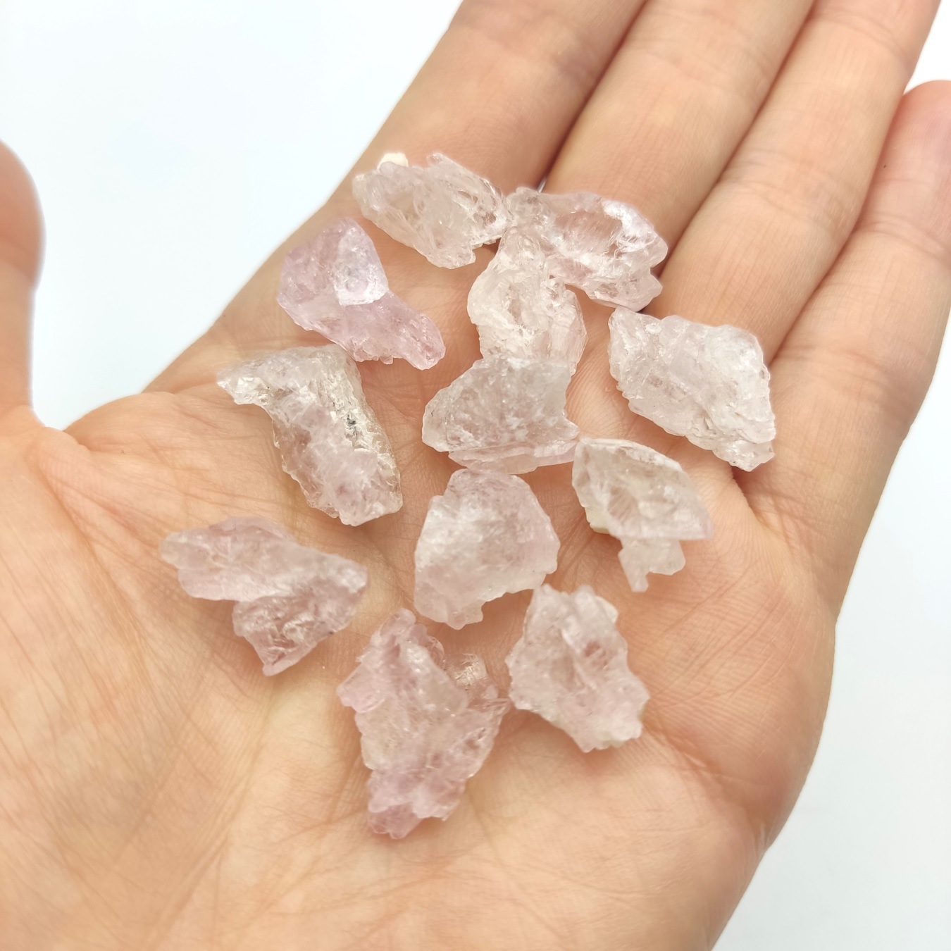 �ڴ������ۥ������������ĥ��쥹����롡���С�1�����