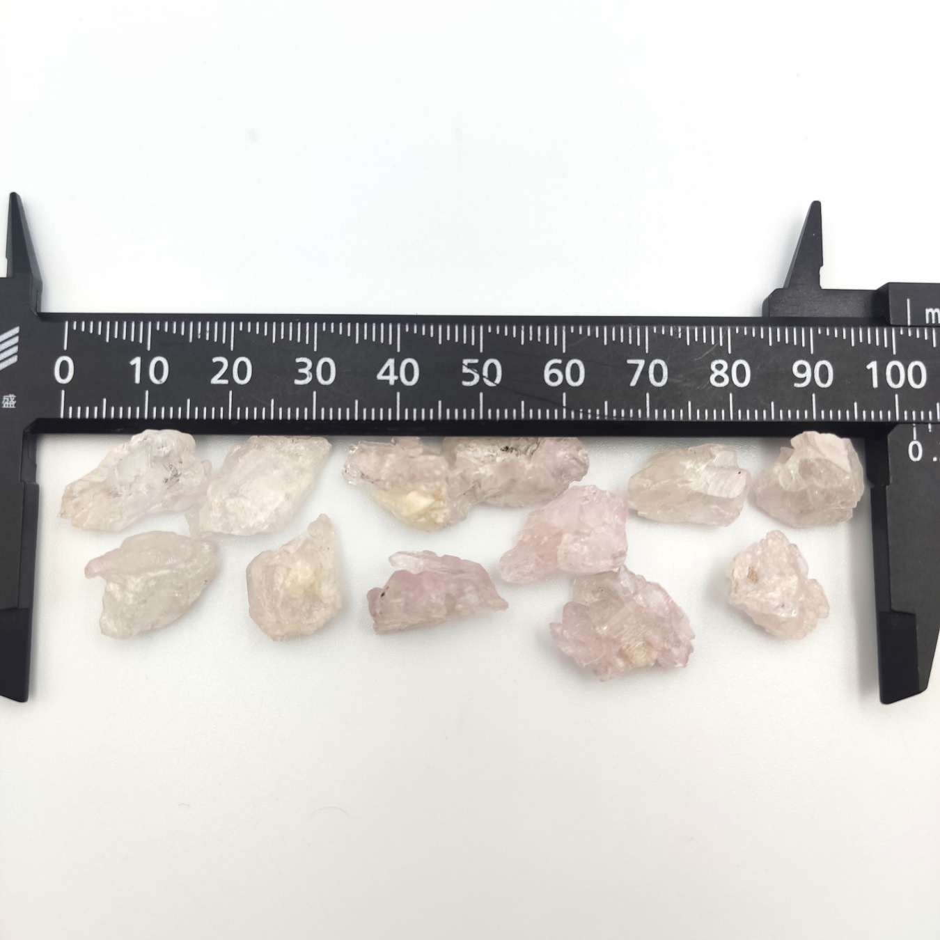 �ڴ������ۥ������������ĥ��쥹����롡���С�1�����