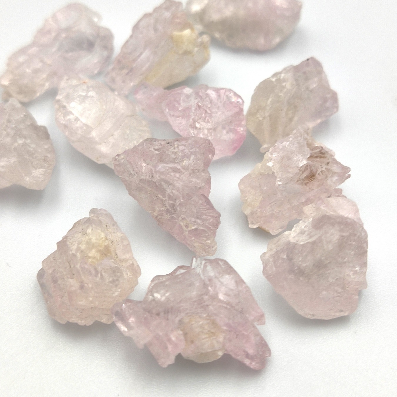 �ڴ������ۥ������������ĥ��쥹����롡���С�1�����