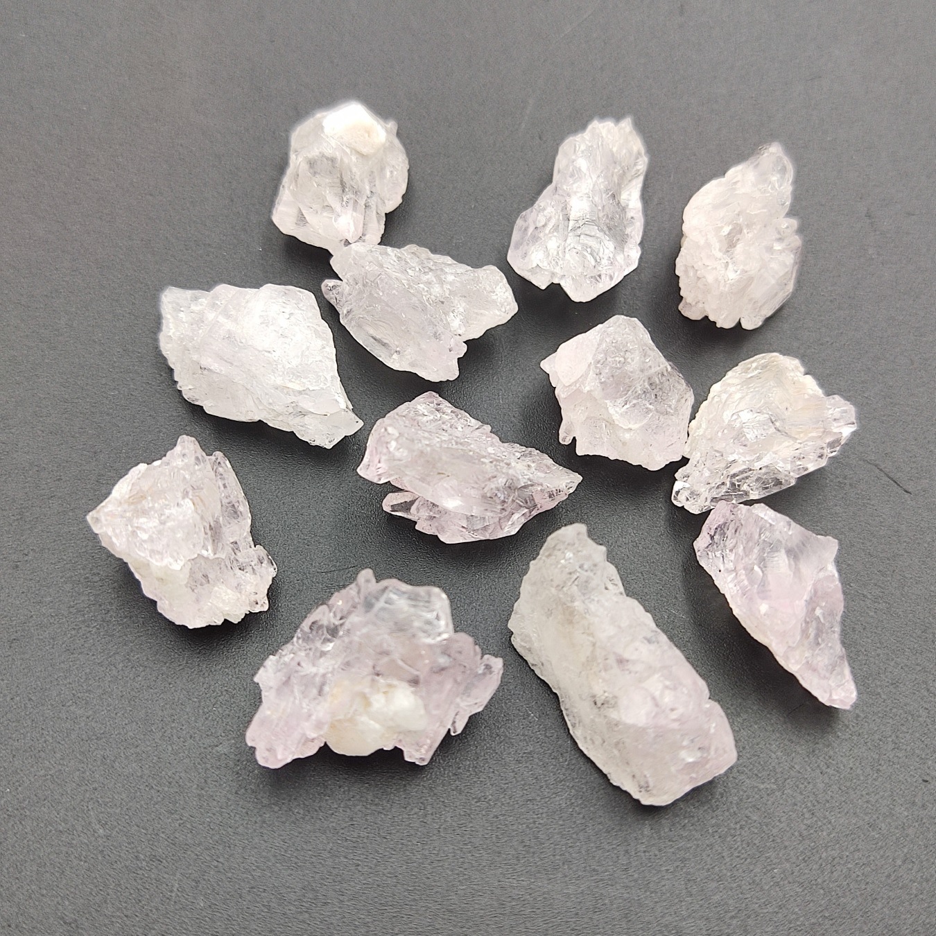 �ڴ������ۥ������������ĥ��쥹����롡���С�1�����