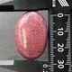 �����ɥʥ��ȡ��鯵��Сˡ�31mm�����ܥ����ŷ���Х롼����1��ʪ