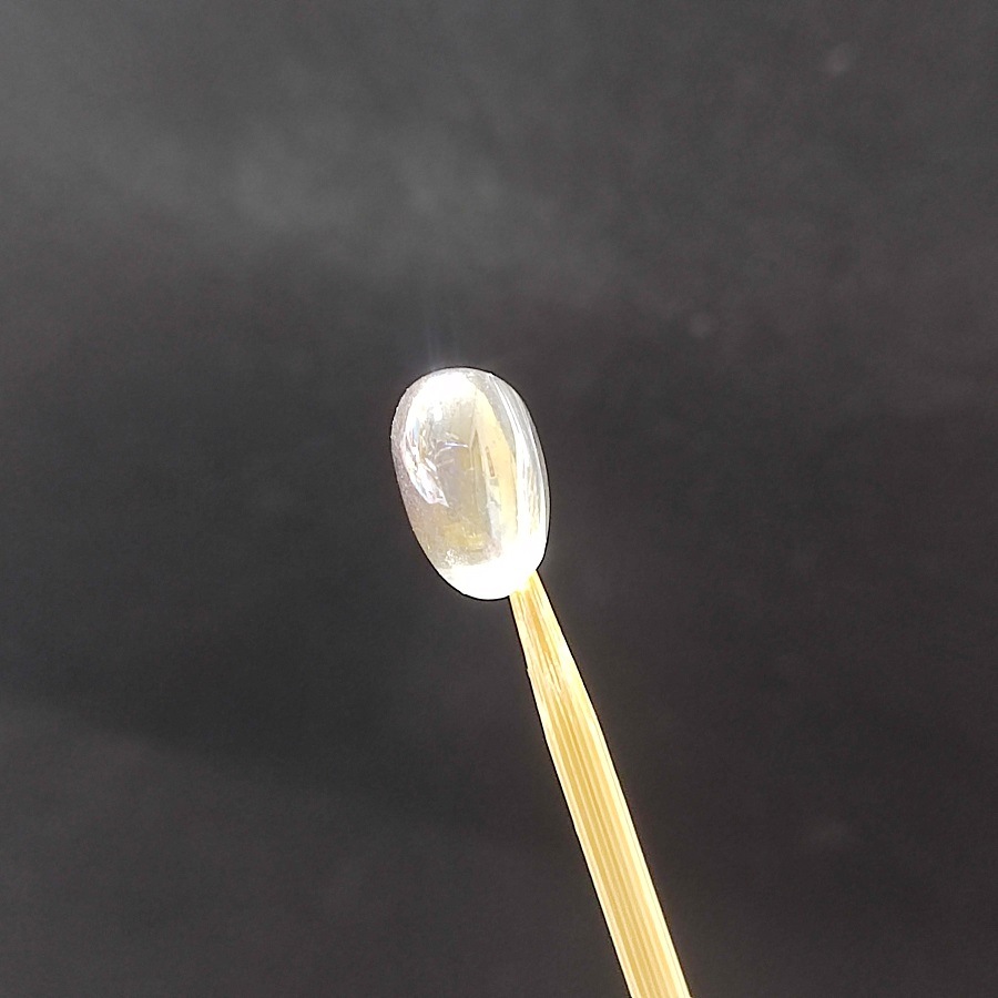 �ڥХ����/��γ���!!�ۥ��󥸥��륪����ϡ��ȡ��Х���ꡡ�ӡ�������12mm