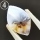 ڥ饹12 ǥɥƥåȡŷХ롼쥯