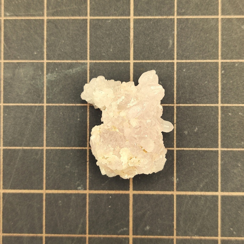 �������������ĥ��쥹����륯�����ġ����С���5.3�硡