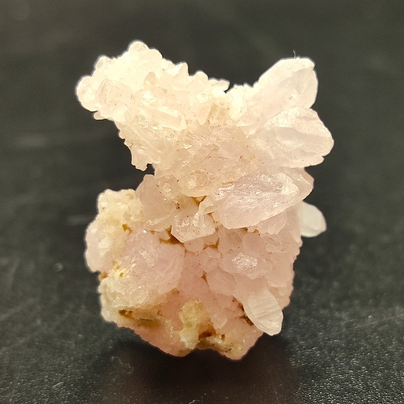 �������������ĥ��쥹����륯�����ġ����С���5.3�硡