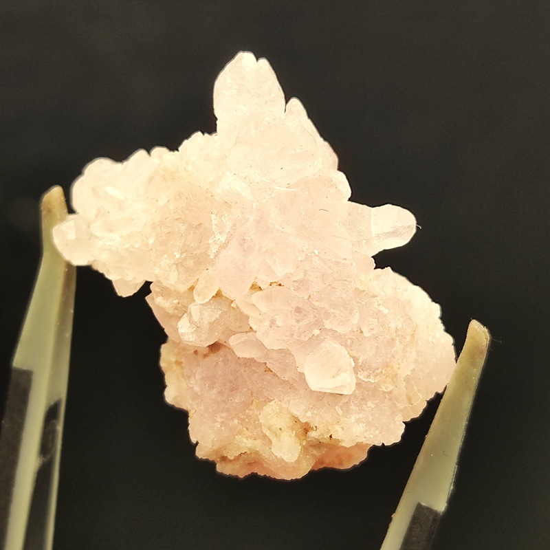 �������������ĥ��쥹����륯�����ġ����С���5.3�硡