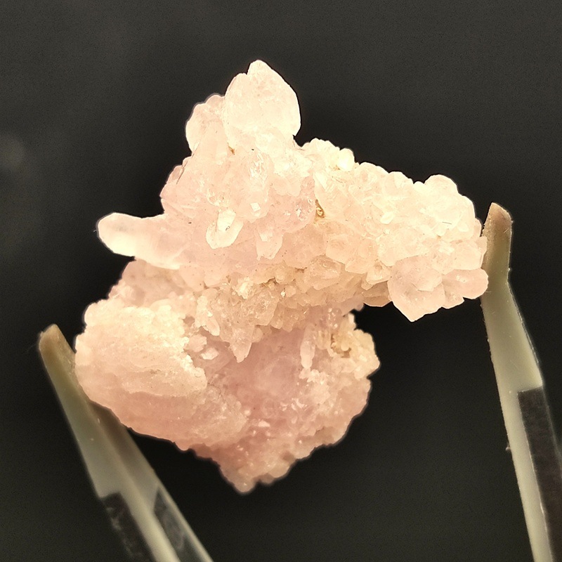 �������������ĥ��쥹����륯�����ġ����С���5.3�硡