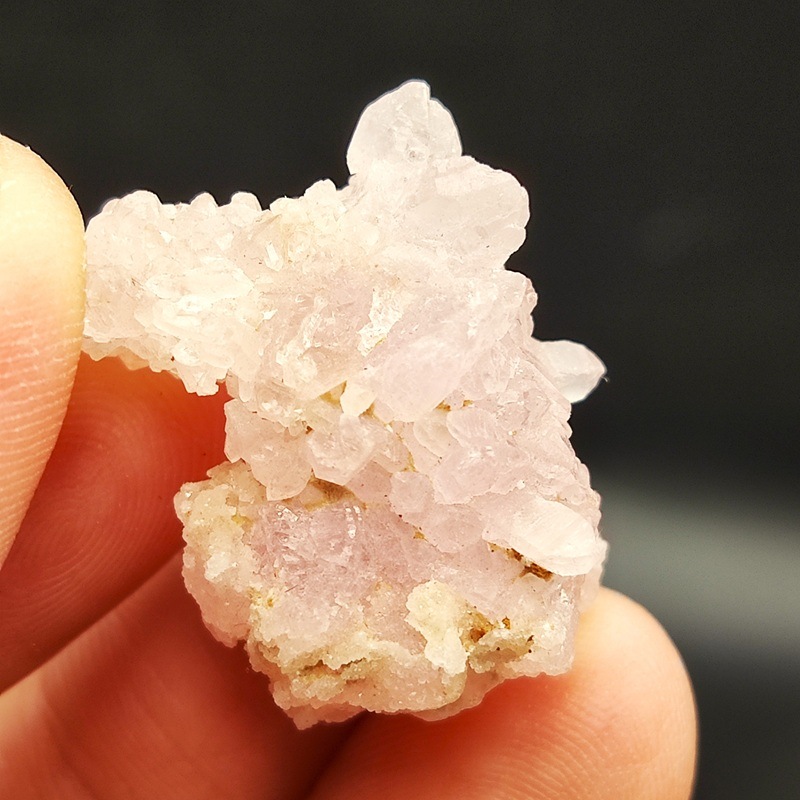 �������������ĥ��쥹����륯�����ġ����С���5.3�硡