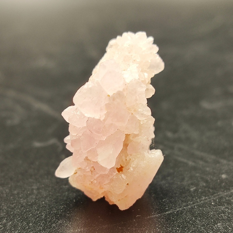 �������������ĥ��쥹����륯�����ġ����С���5.3�硡