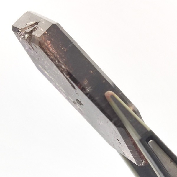 �����ѡ����֥��ѷ����åȥ롼����45.20ct��1��ʪ