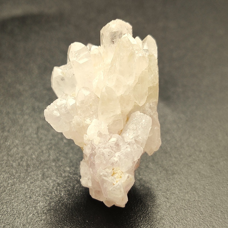 �������������ĥ��쥹����륯�����ġ����С���5.3�硡