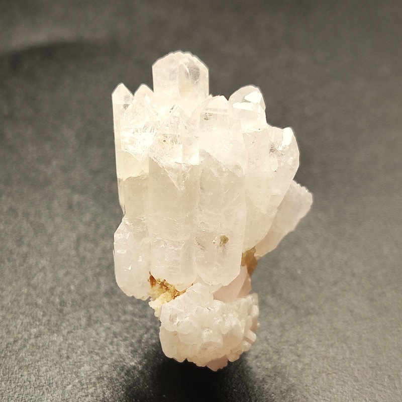 �������������ĥ��쥹����륯�����ġ����С���5.3�硡