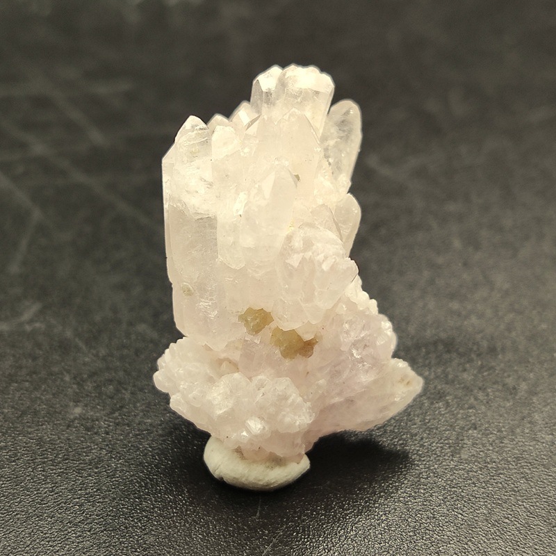 �������������ĥ��쥹����륯�����ġ����С���5.3�硡