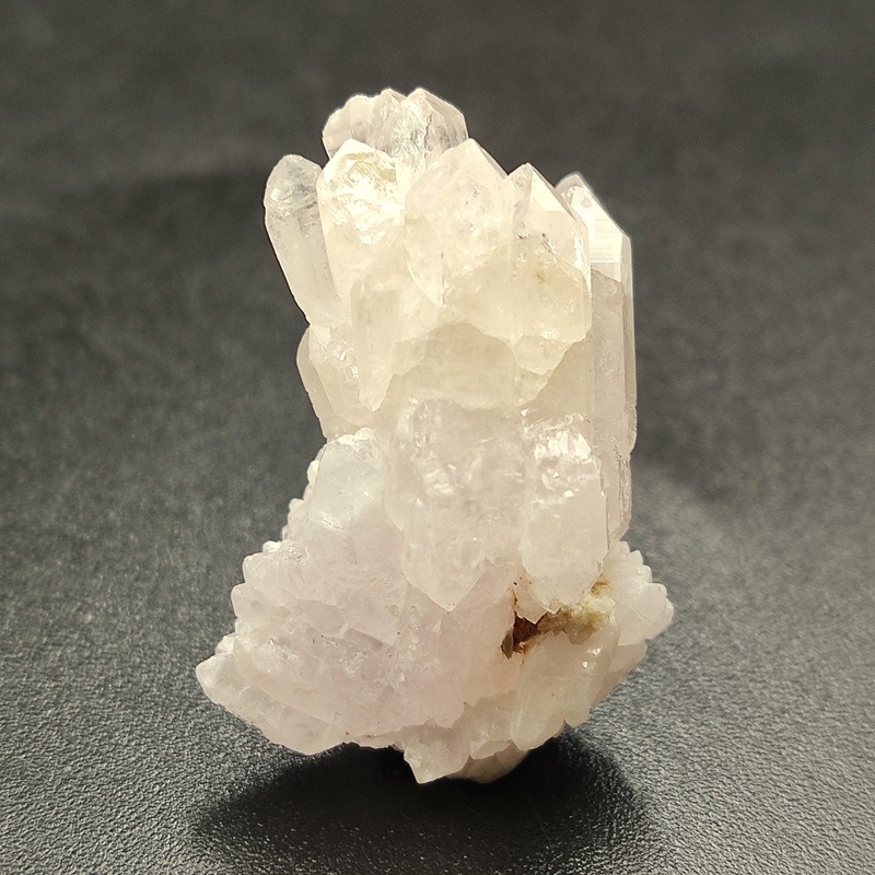 �������������ĥ��쥹����륯�����ġ����С���5.3�硡